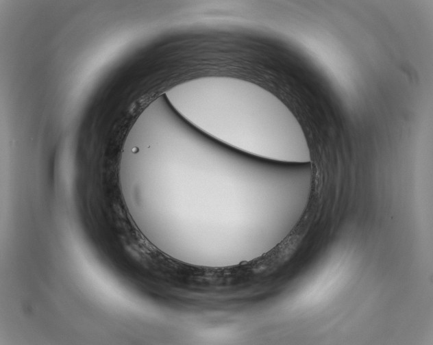 X0000111150383200906301042