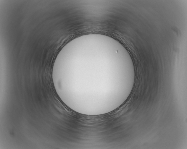 X0000111150384200906301042