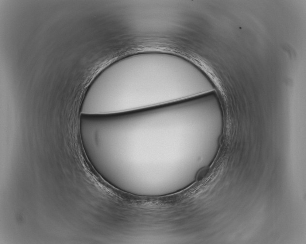 X0000111150385200906301042