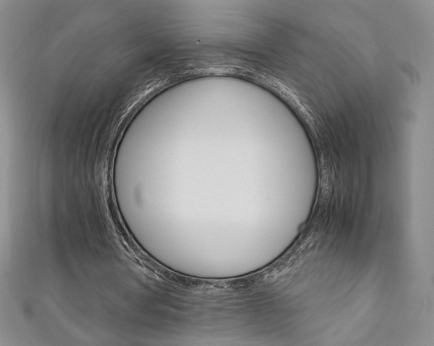 X0000111150386200906301042