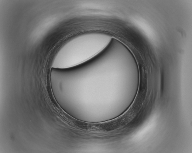 X0000111150387200906301042
