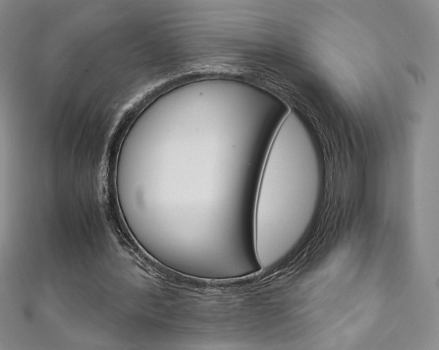 X0000111150388200906301042