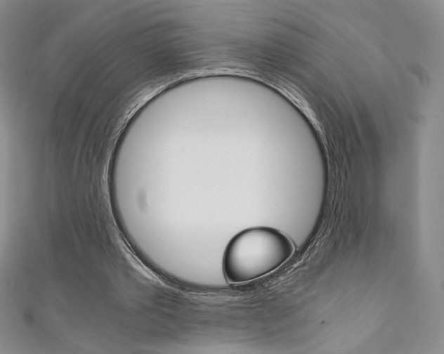 X0000111150389200906301042