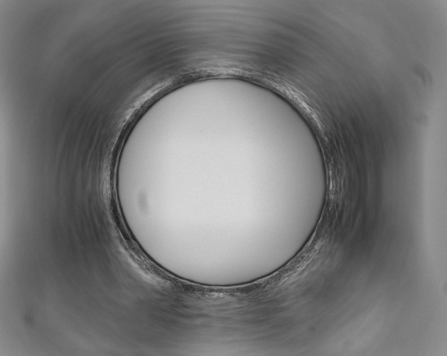 X0000111150390200906301042