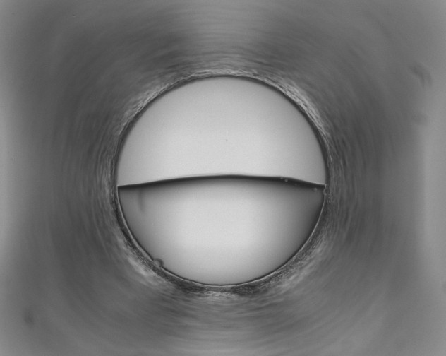 X0000111150393200906301042