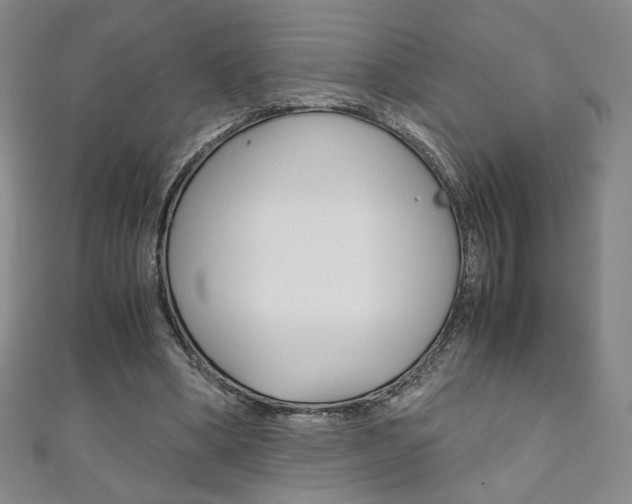 X0000111150394200906301042