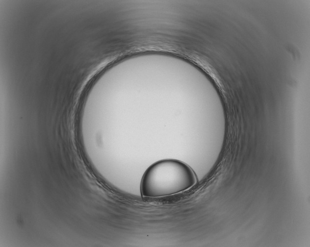 X0000111150395200906301042