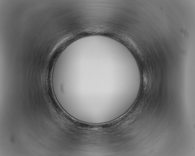X0000111150396200906301042