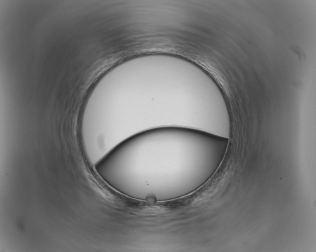 X0000111150397200906301042