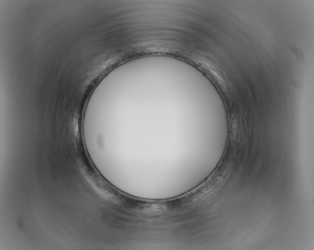 X0000111150398200906301042
