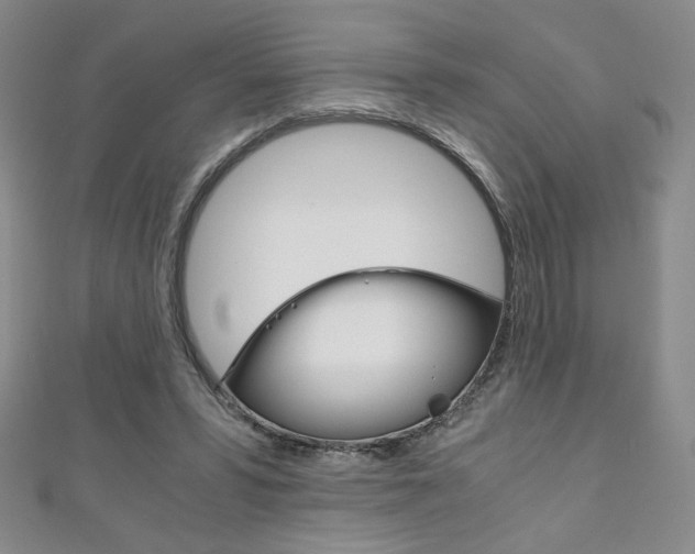 X0000111150399200906301042