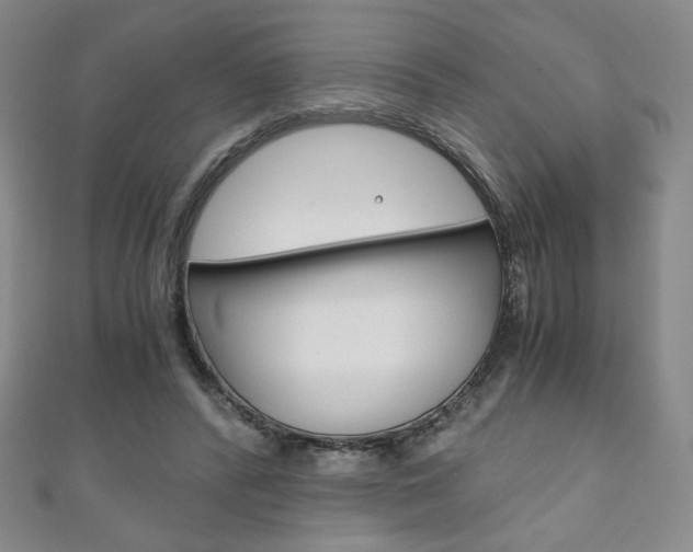 X0000111150400200906301041