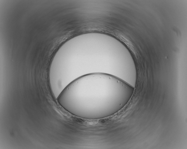 X0000111150401200906301041