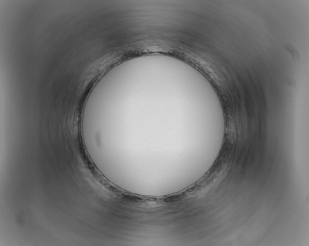 X0000111150402200906301041