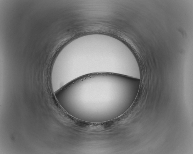 X0000111150403200906301041