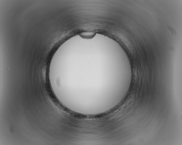 X0000111150404200906301041