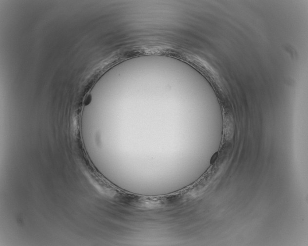 X0000111150405200906301041