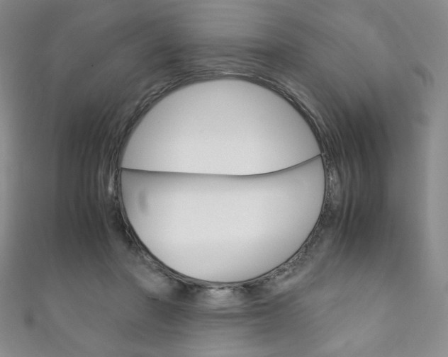 X0000111150406200906301041