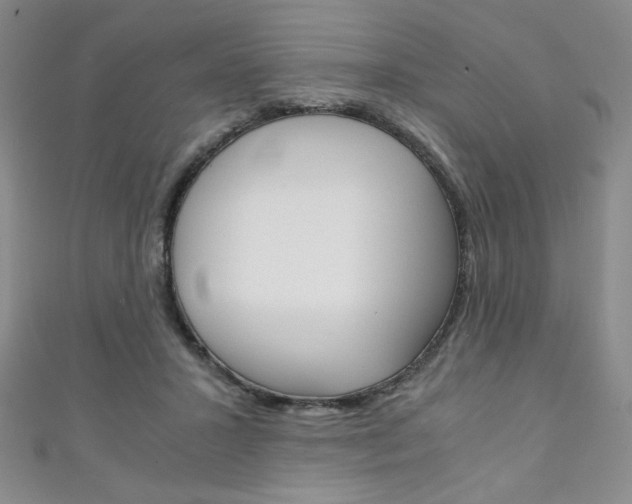 X0000111150407200906301041