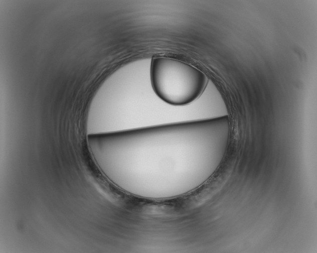 X0000111150408200906301041