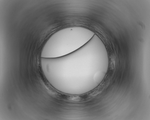 X0000111150410200906301041
