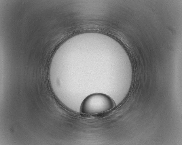 X0000111150411200906301041