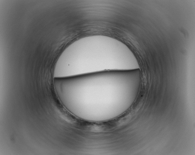 X0000111150412200906301041