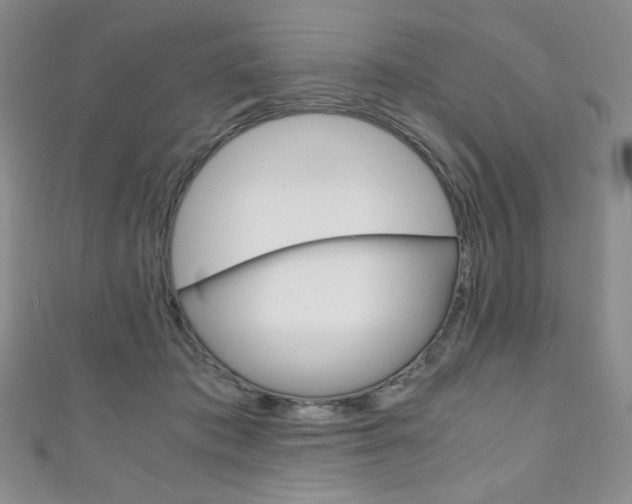 X0000111150413200906301041