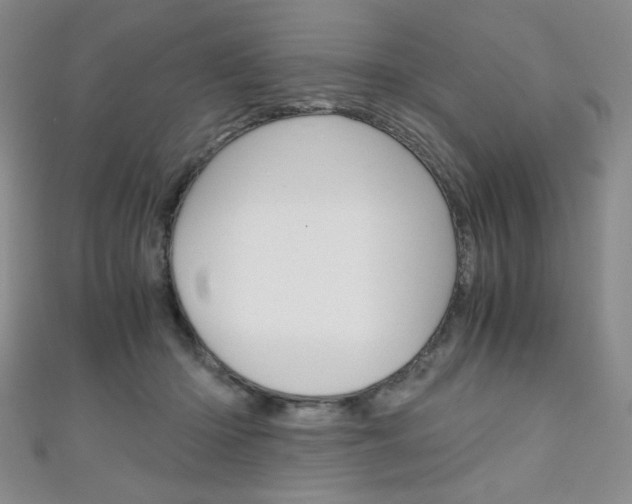 X0000111150414200906301041