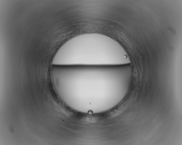 X0000111150416200906301041