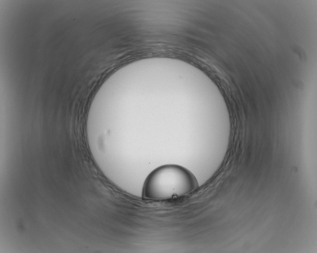 X0000111150417200906301041