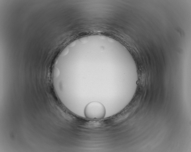 X0000111150418200906301041