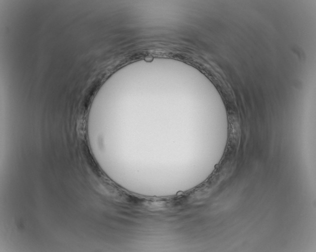 X0000111150419200906301041