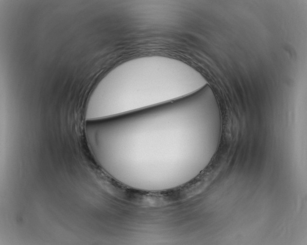 X0000111150420200906301041