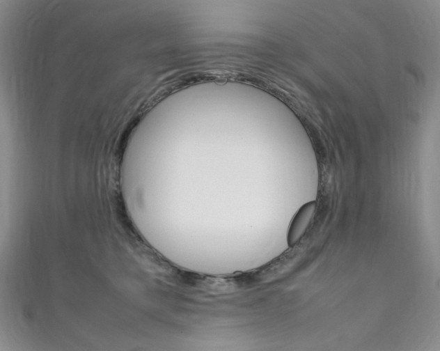 X0000111150421200906301041