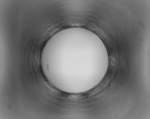 X0000111150422200906301041