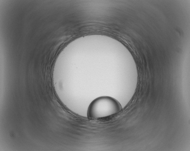 X0000111150423200906301041