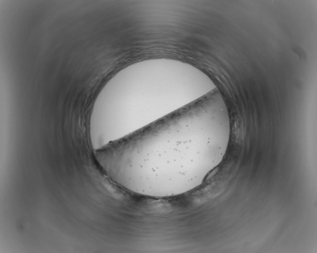 X0000111150424200906301041