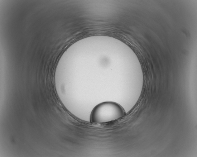 X0000111150425200906301041