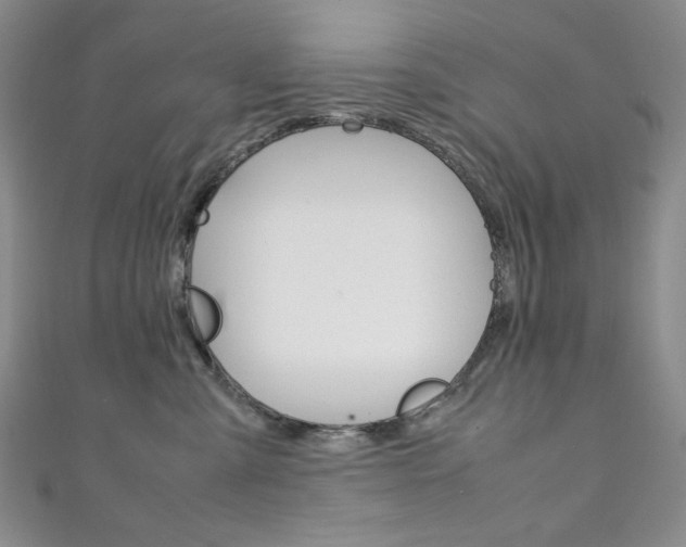 X0000111150427200906301041