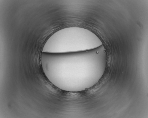 X0000111150428200906301041