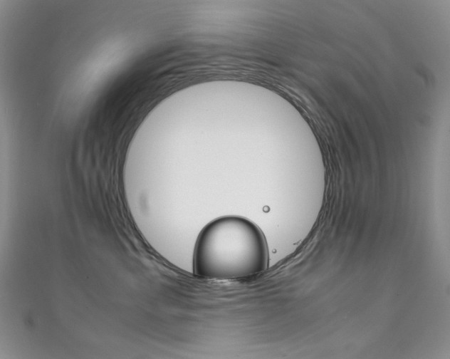 X0000111150429200906301041