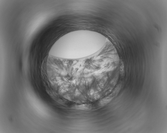 X0000111150430200906301041