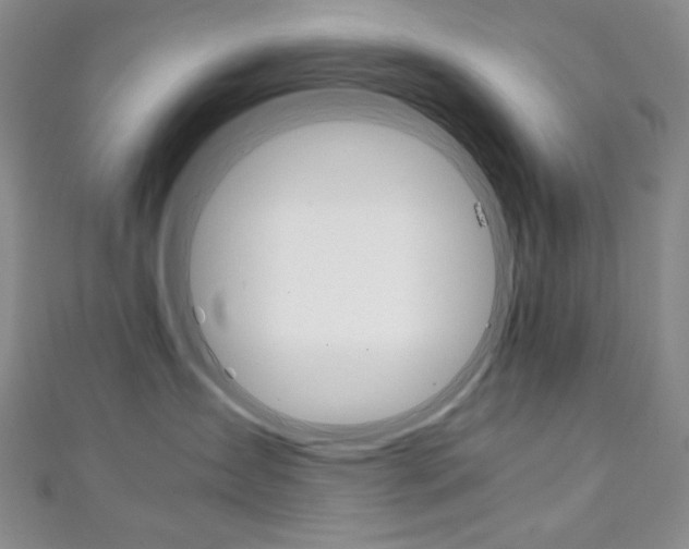 X0000111150431200906301041
