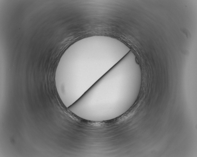 X0000111150432200906301041