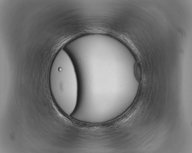 X0000111150433200906301040