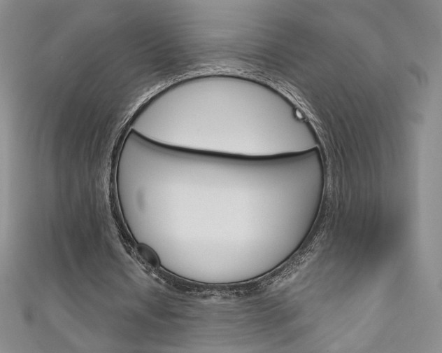 X0000111150434200906301040