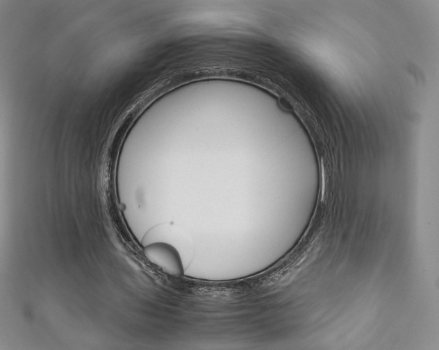 X0000111150435200906301040