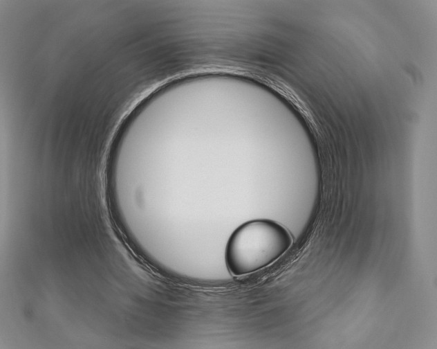X0000111150436200906301041