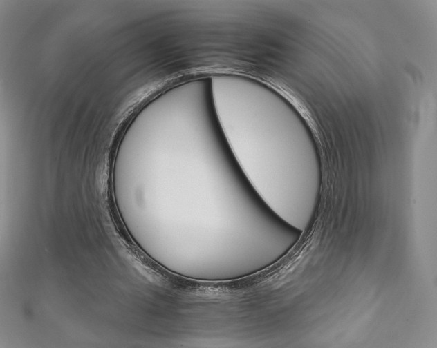 X0000111150437200906301041
